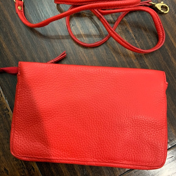 Fossil clutch - Picture 2 of 4